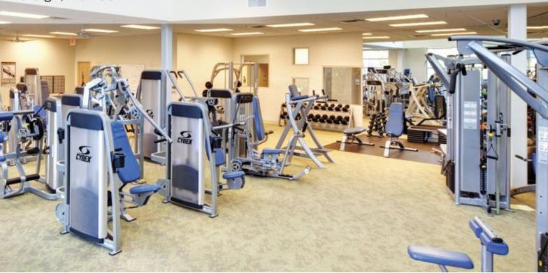 Cybex  Equipment Reviews